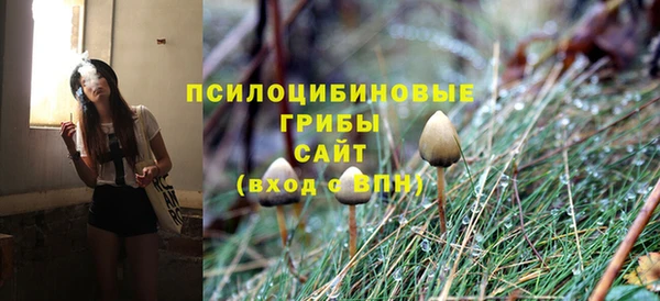 гидра Мегион