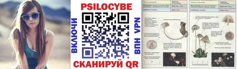 маркетплейс телеграм  Дыгулыбгей  Псилоцибиновые грибы Cubensis  купить  цена 